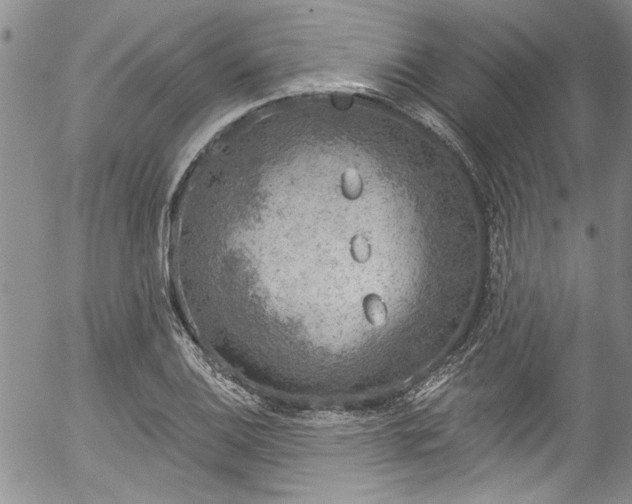 X0000057091124200509120912