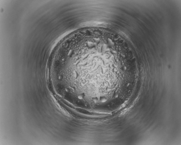 X0000057091125200509120912