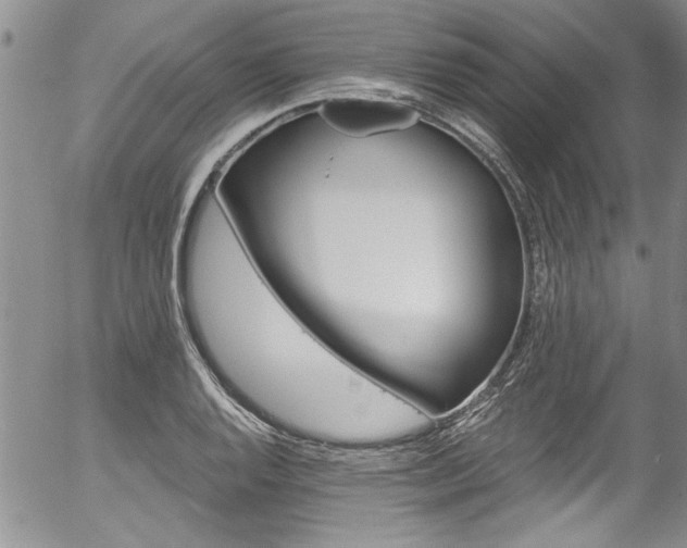 X0000057091128200509120912