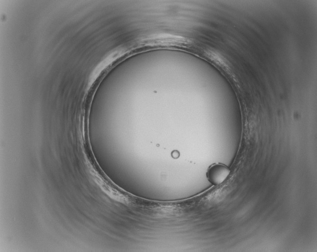 X0000057091130200509120912