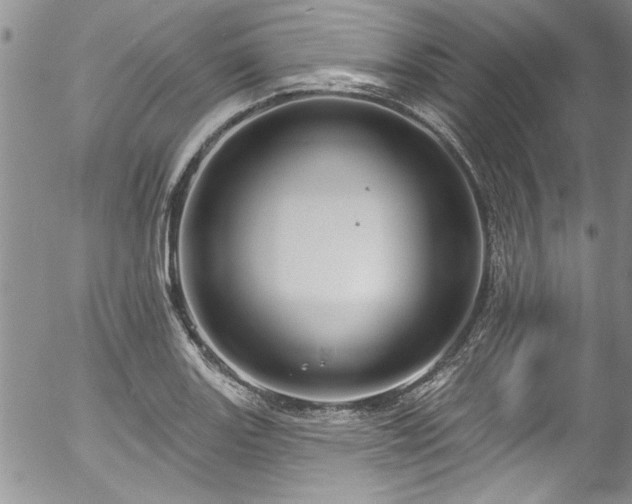 X0000057091131200509120912