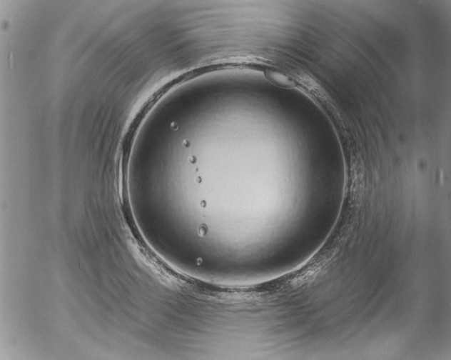 X0000057091132200509120912