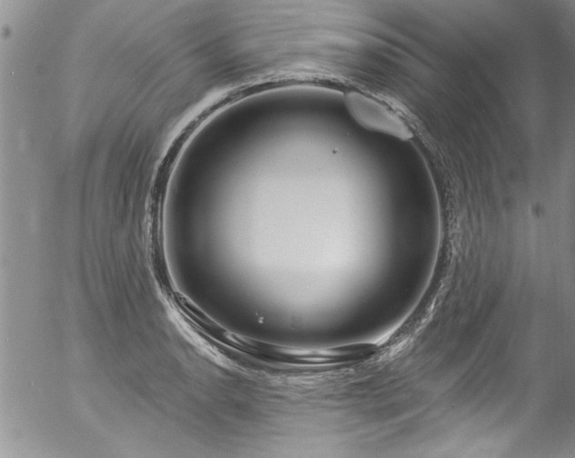 X0000057091134200509120912