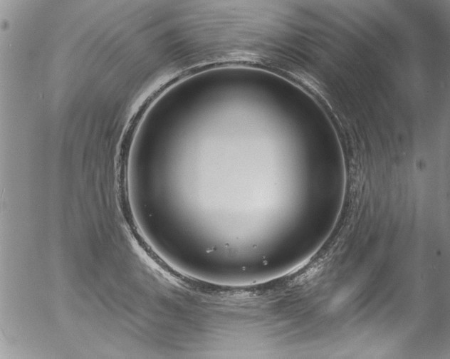 X0000057091135200509120912