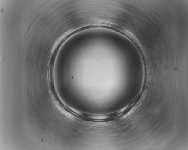 X0000057091136200509120912