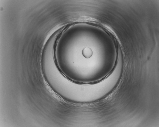 X0000057091138200509120912