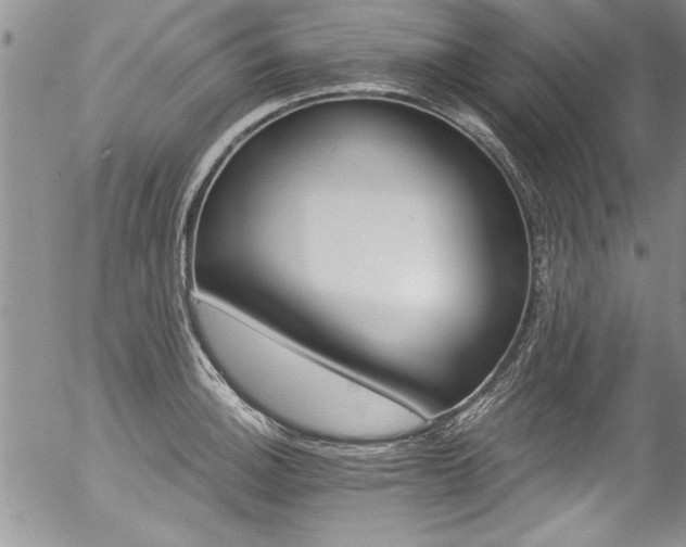 X0000057091140200509120912