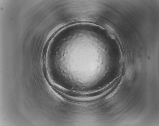 X0000057091141200509120912