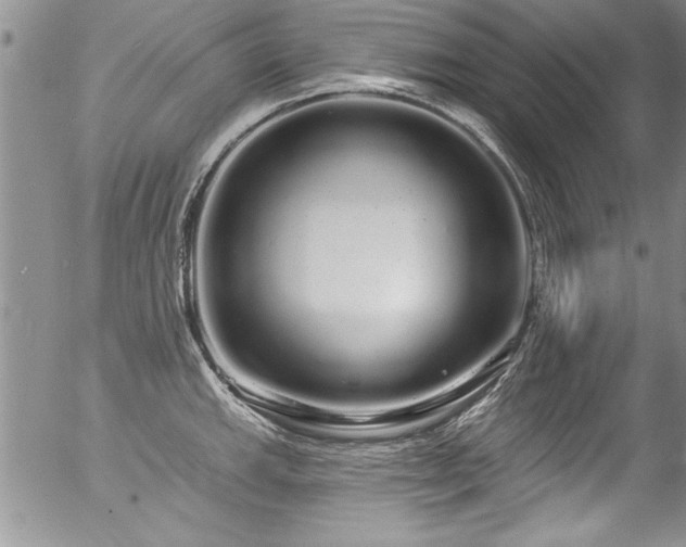 X0000057091143200509120912