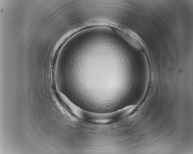 X0000057091144200509120912