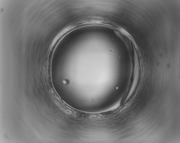 X0000057091146200509120912