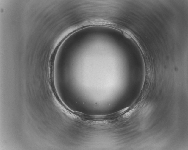 X0000057091147200509120912