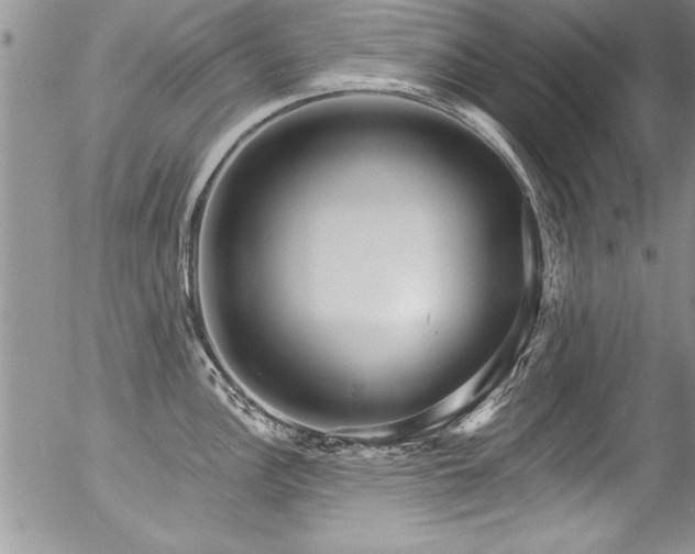 X0000057091148200509120912