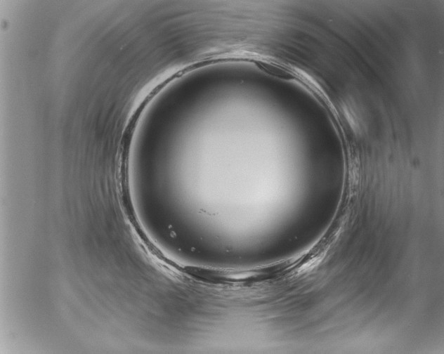 X0000057091149200509120912