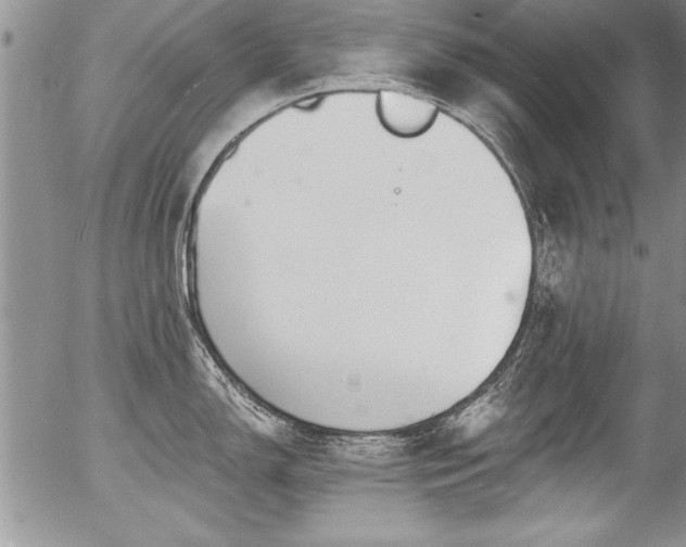 X0000057091150200509120912