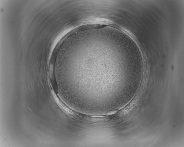 X0000057091152200509120912