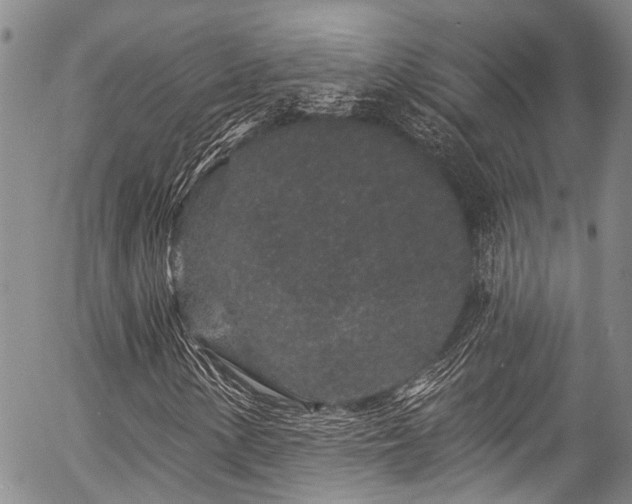 X0000057091154200509120912