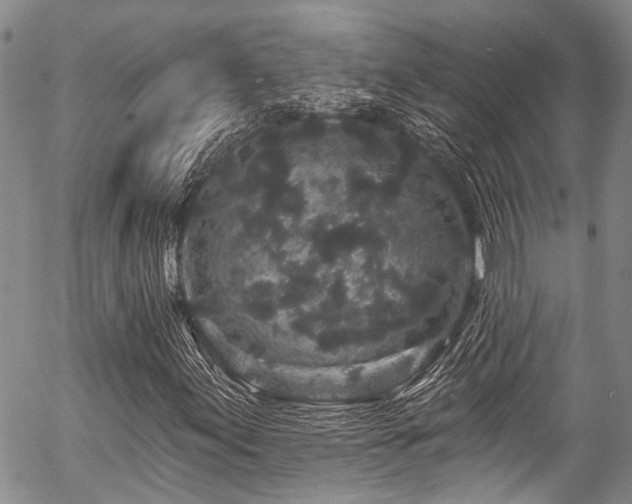 X0000057091155200509120912