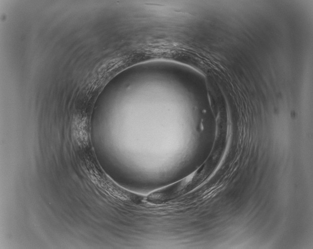 X0000057091156200509120912