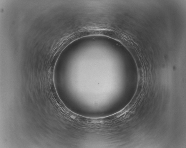 X0000057091157200509120912