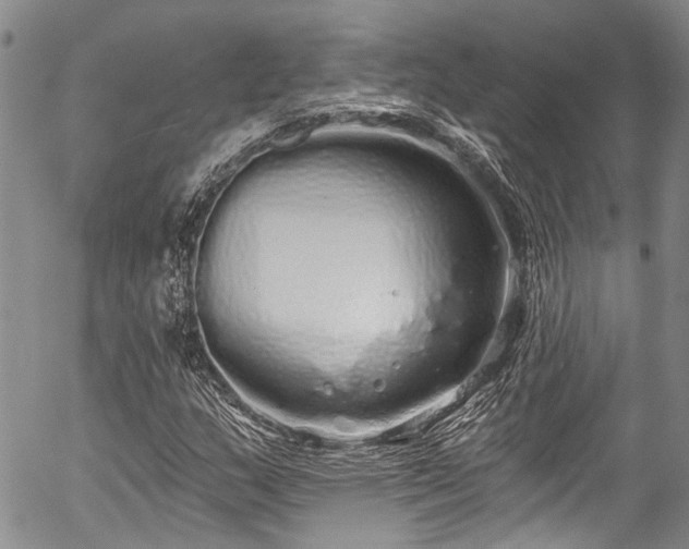 X0000057091159200509120912