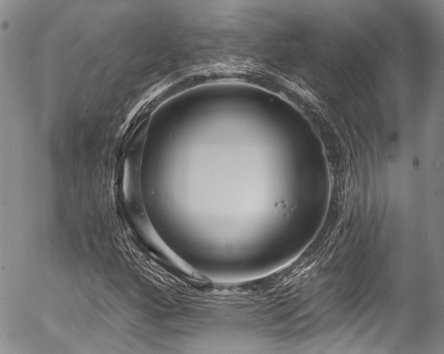 X0000057091160200509120912