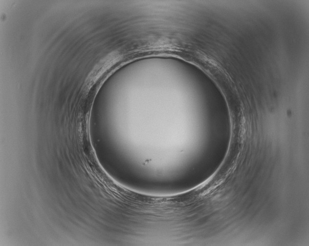 X0000057091162200509120912