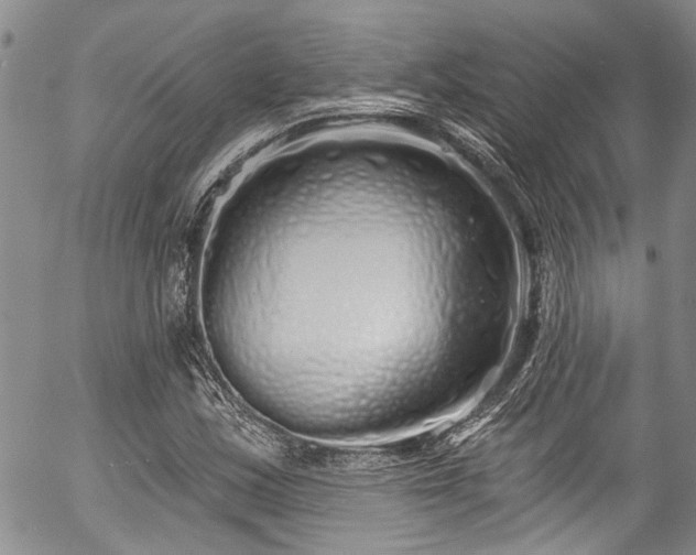 X0000057091163200509120912