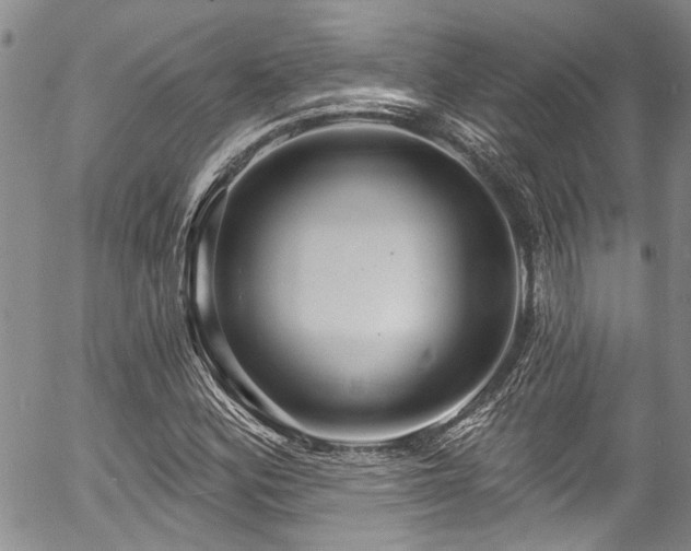 X0000057091164200509120912