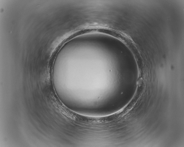 X0000057091167200509120911