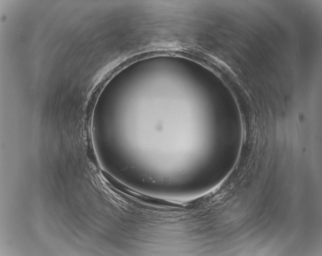 X0000057091168200509120911