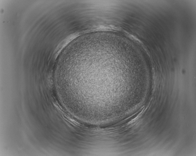 X0000057091170200509120911