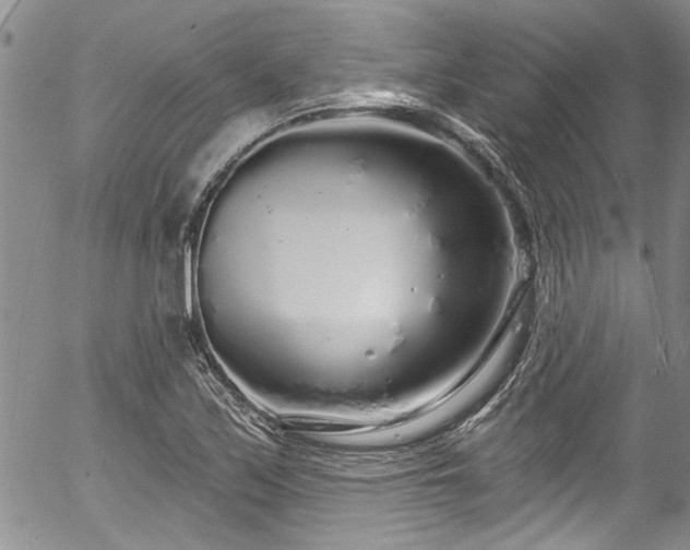 X0000057091171200509120911