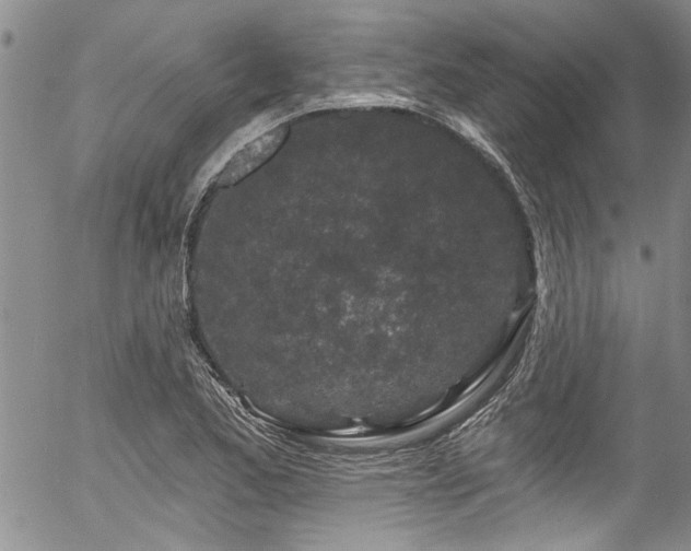 X0000057091173200509120911