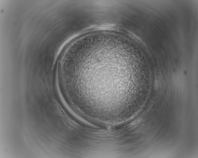 X0000057091174200509120911