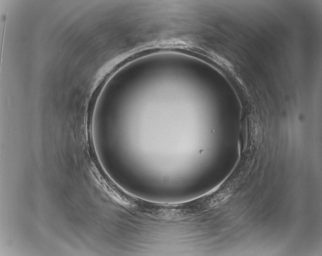 X0000057091176200509120911