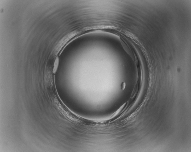 X0000057091177200509120911