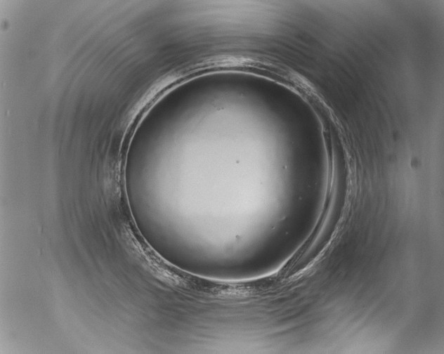 X0000057091178200509120911