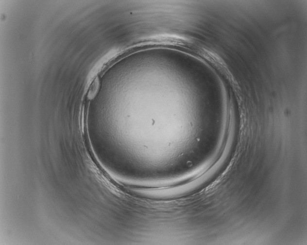 X0000057091180200509120911