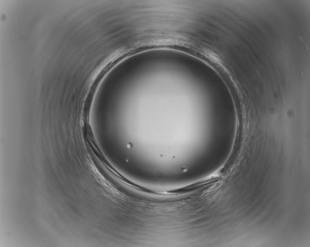 X0000057091181200509120911