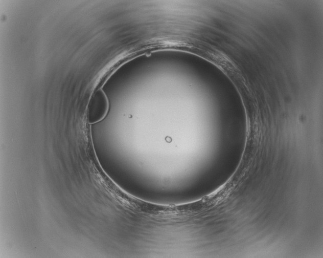 X0000057091182200509120911