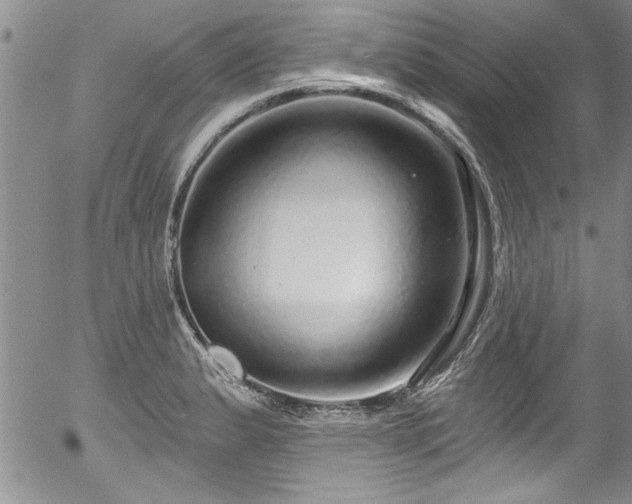 X0000057091183200509120911