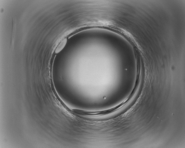 X0000057091184200509120911