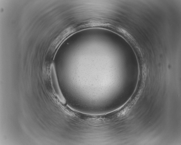 X0000057091185200509120911