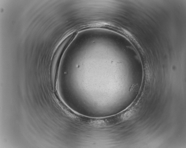 X0000057091186200509120911