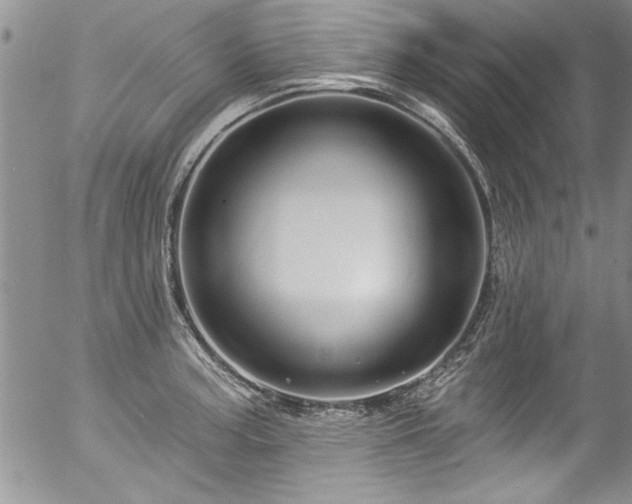 X0000057091187200509120911