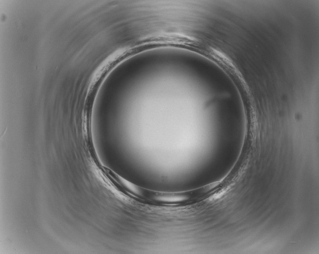 X0000057091188200509120911