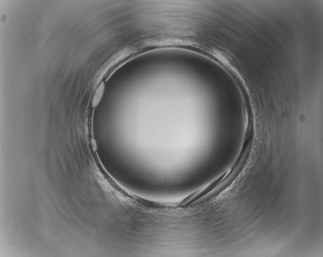 X0000057091189200509120911