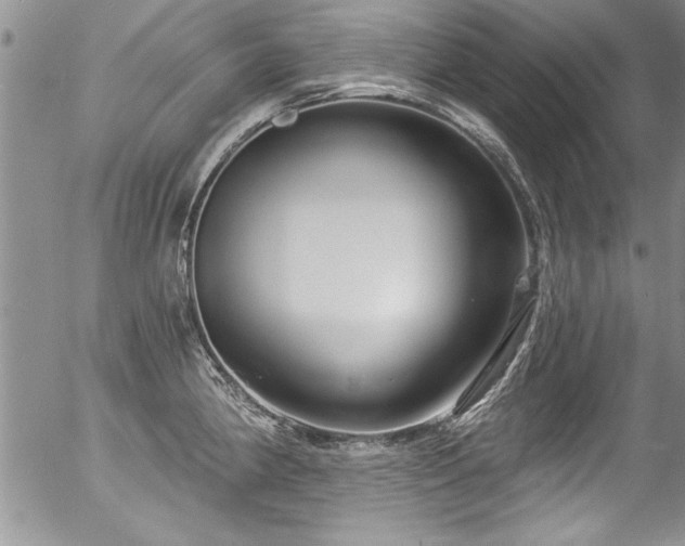 X0000057091190200509120911