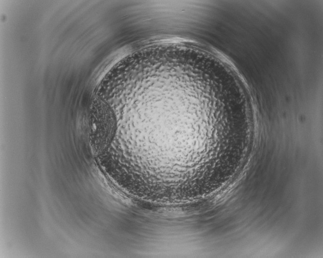 X0000057091194200509120911